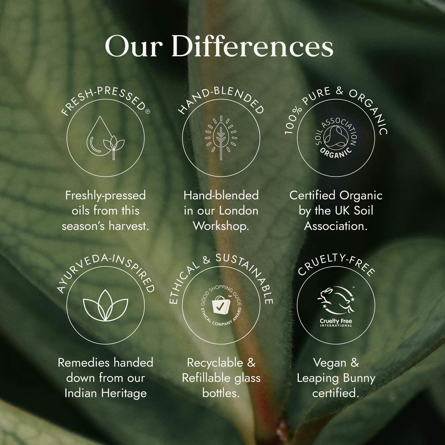 Promotional graphic highlighting the differences of a natural product brand with leafy green background.
