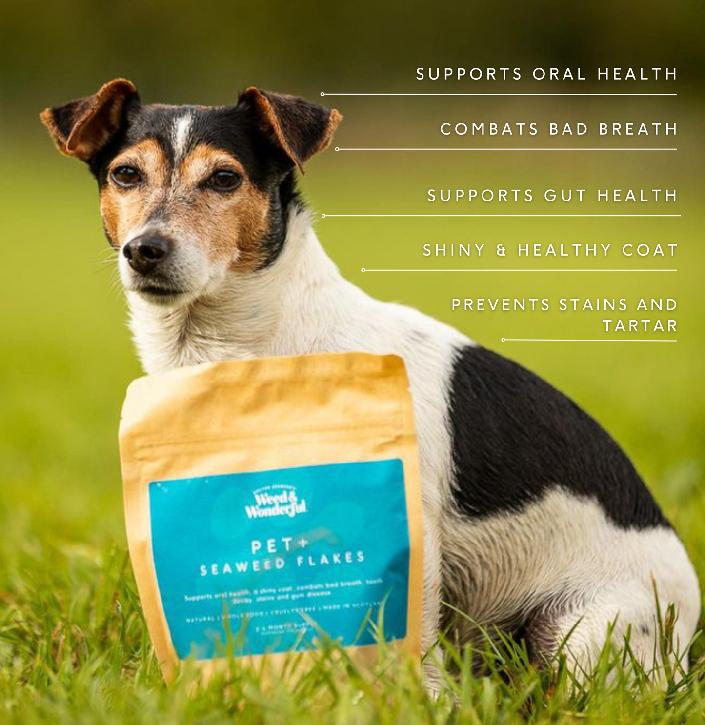 Doctor Seaweed Pet+ Seaweed Flakes 200g