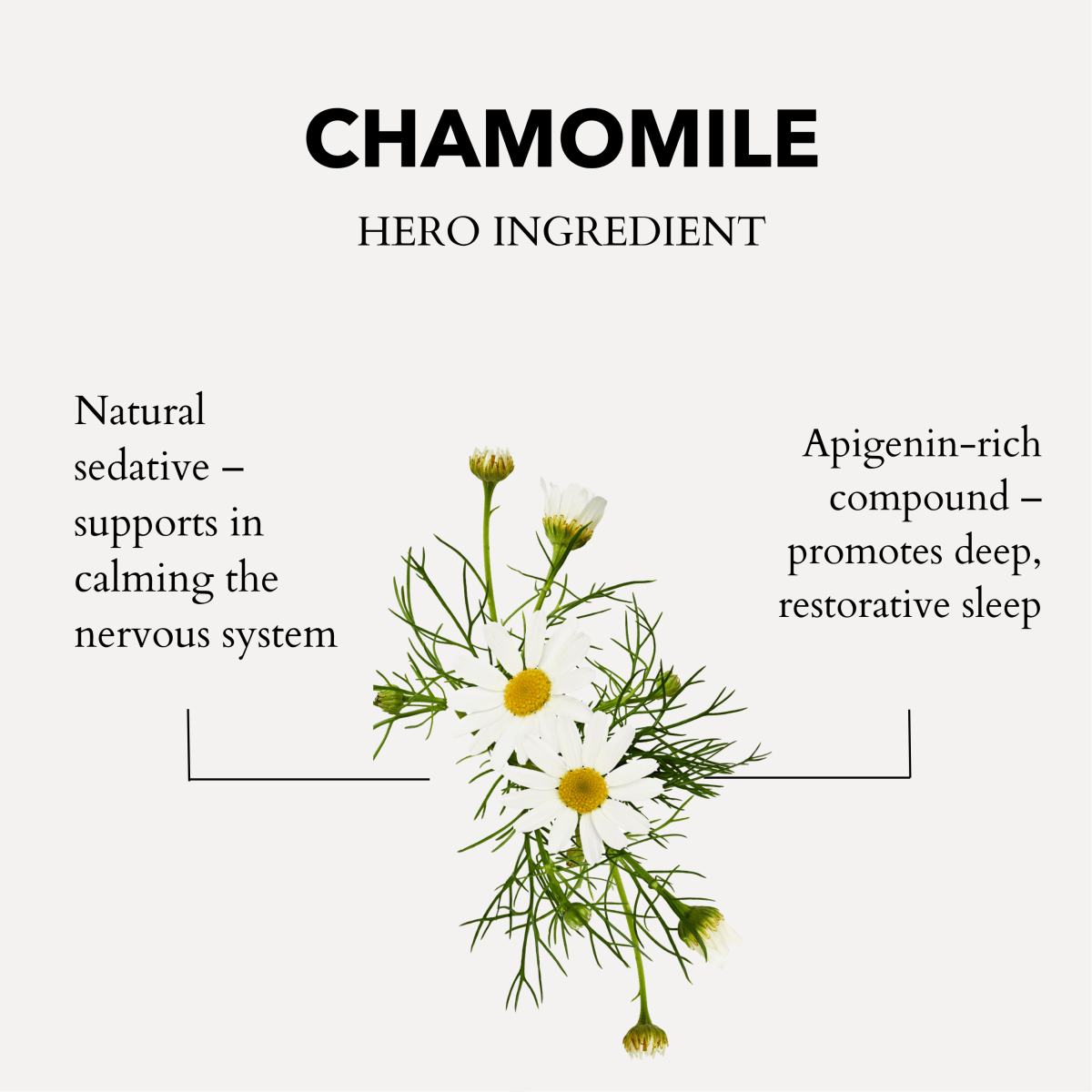 anatomē Roman Chamomile Calming Bath & Shower Oil 150ml