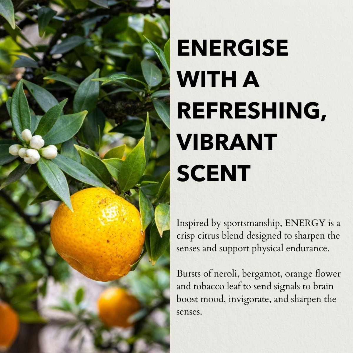 anatomē Energy Functional Parfum Travel 10ml