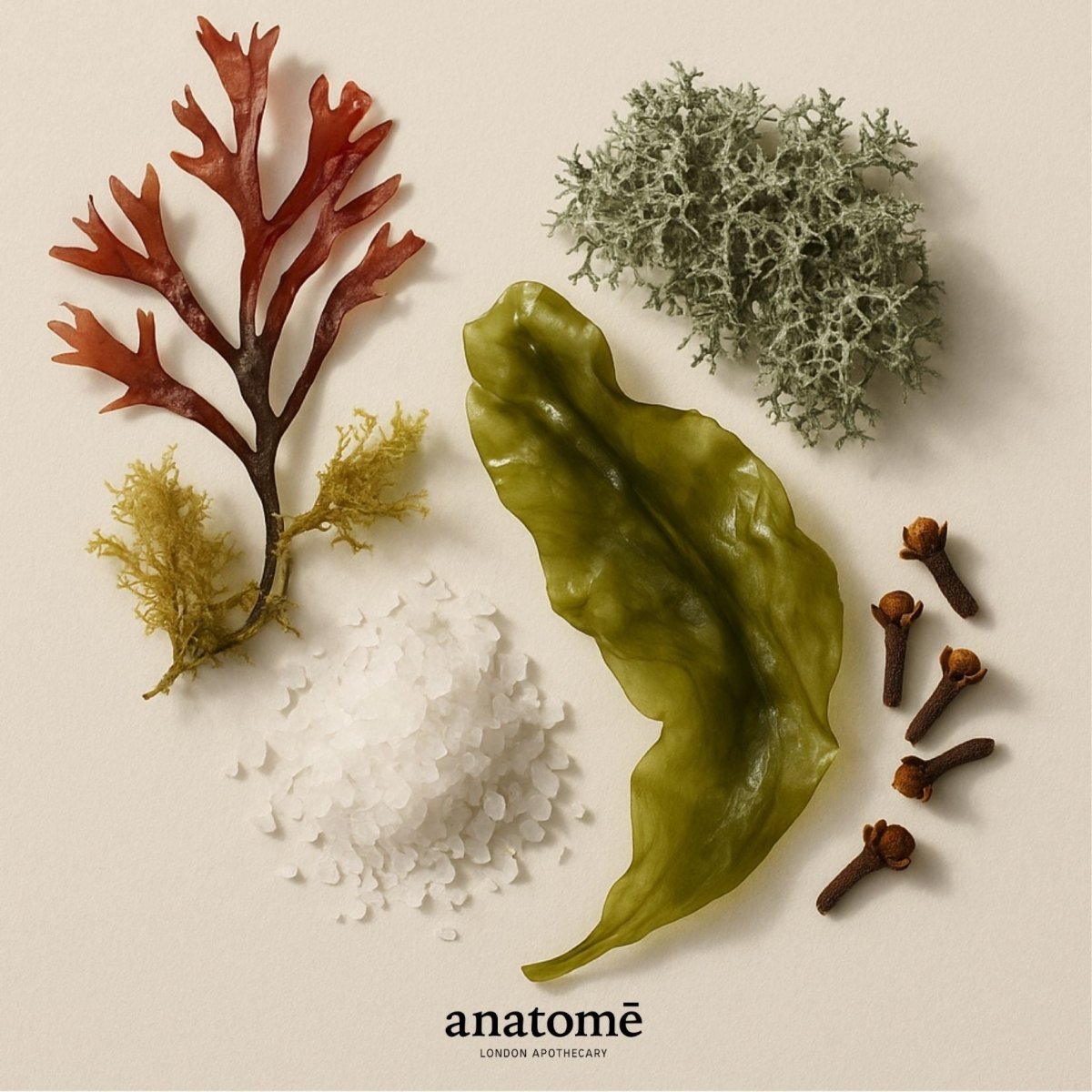 anatomē Expression Functional Parfum Travel 10ml