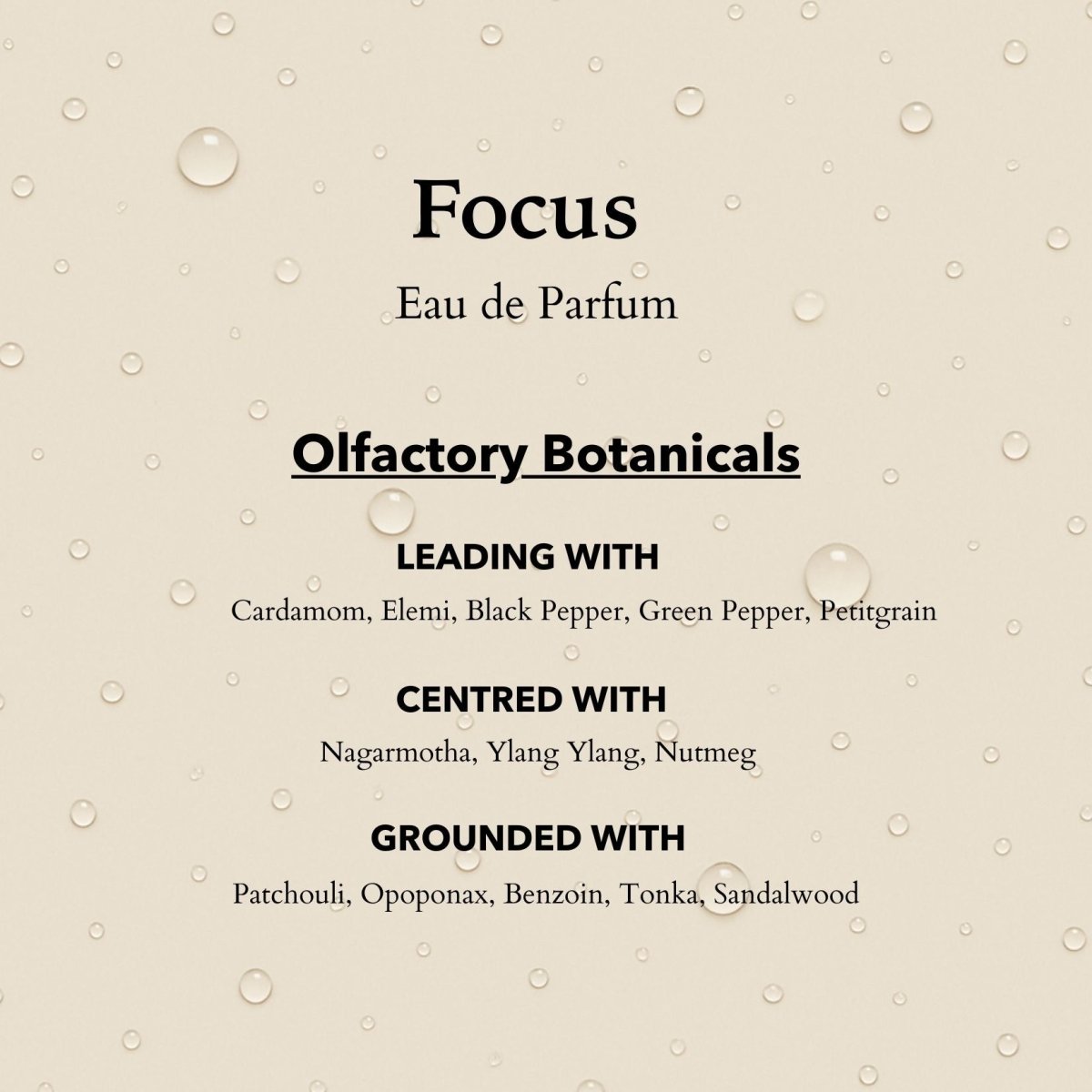 Product label for 'Focus' Eau de Parfum by Olfactory Botanicals with botanical notes.