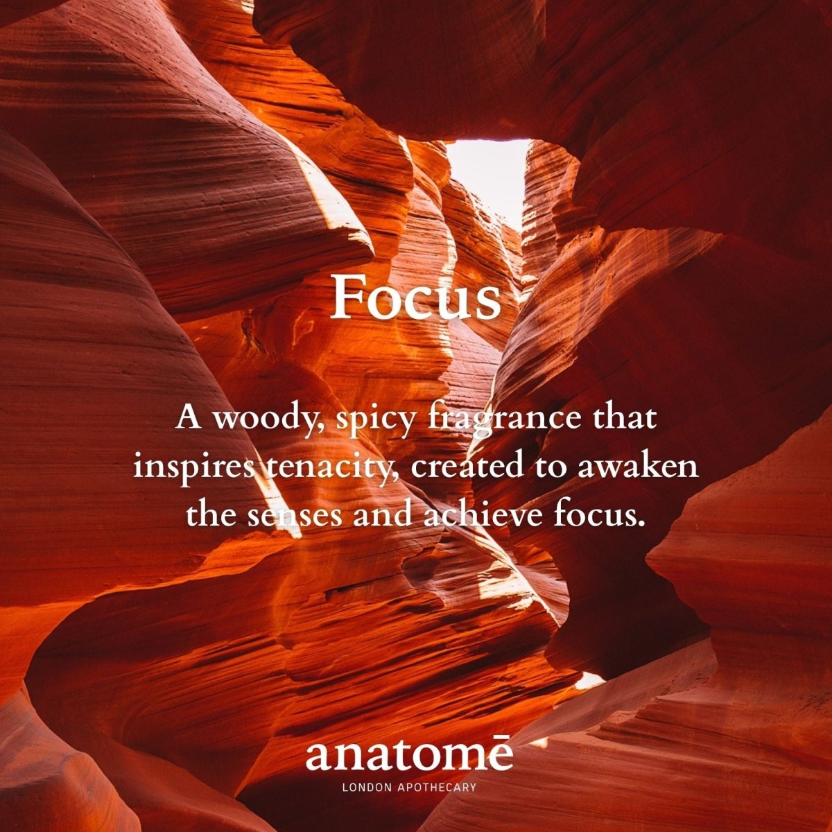 Red rock formation with 'Focus' text and anatomè branding