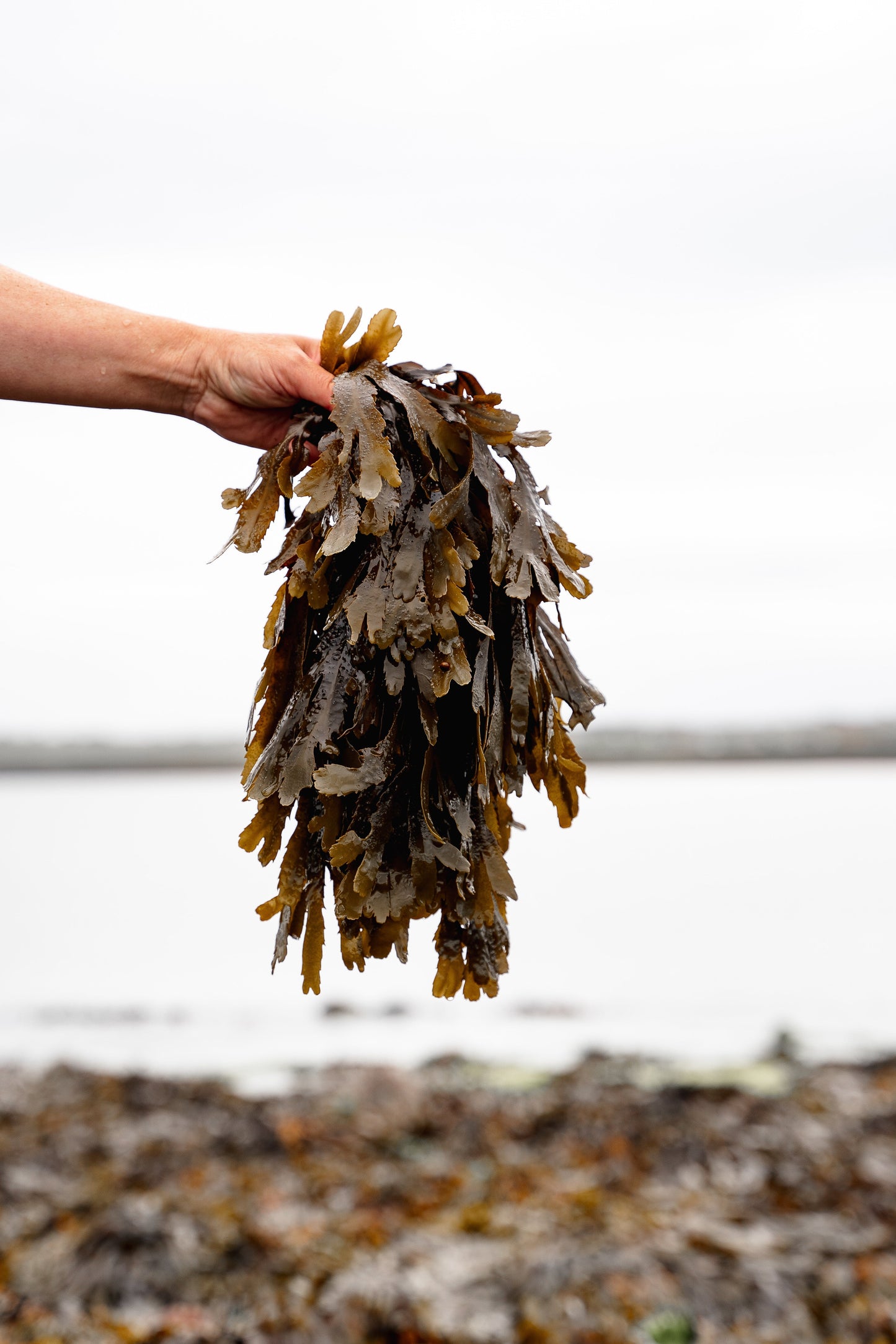 ishga Seaweed Bath with Hebridean Seaweed & Bath Salts