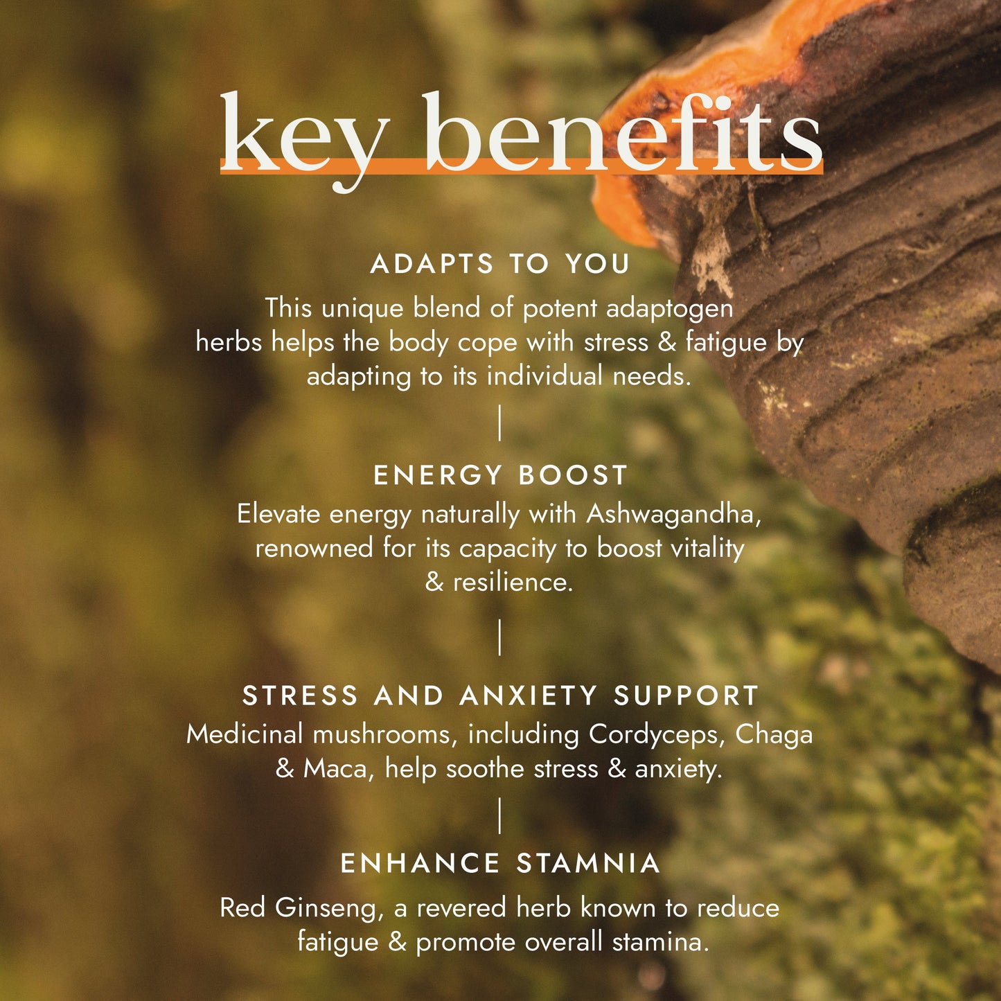Fushi Adaptogen Energy Blend 60 Capsules