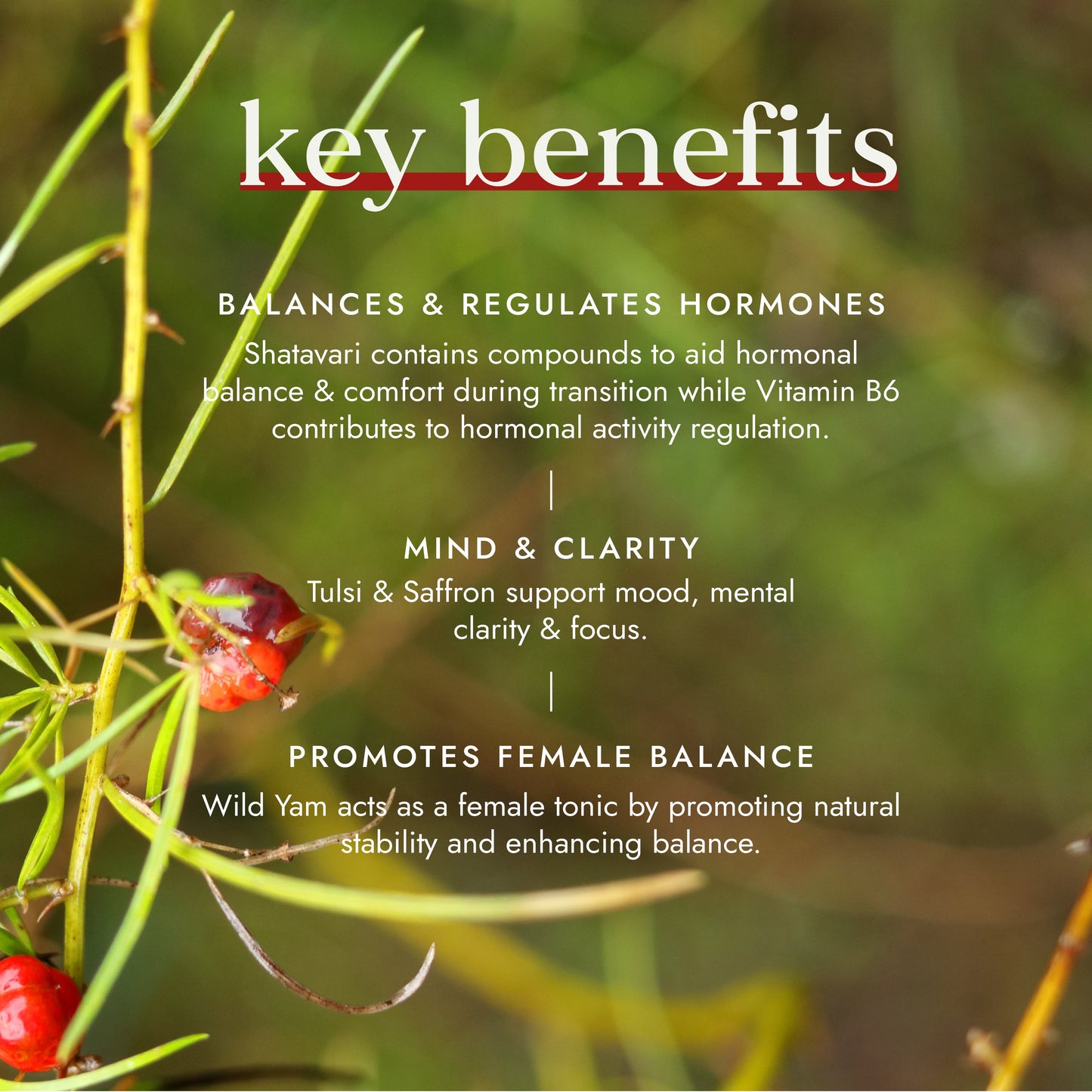 Key benefits of natural remedies with a blurred green background