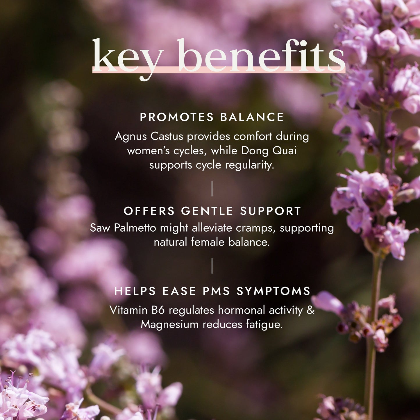 Key benefits text overlay with purple flowers in the background