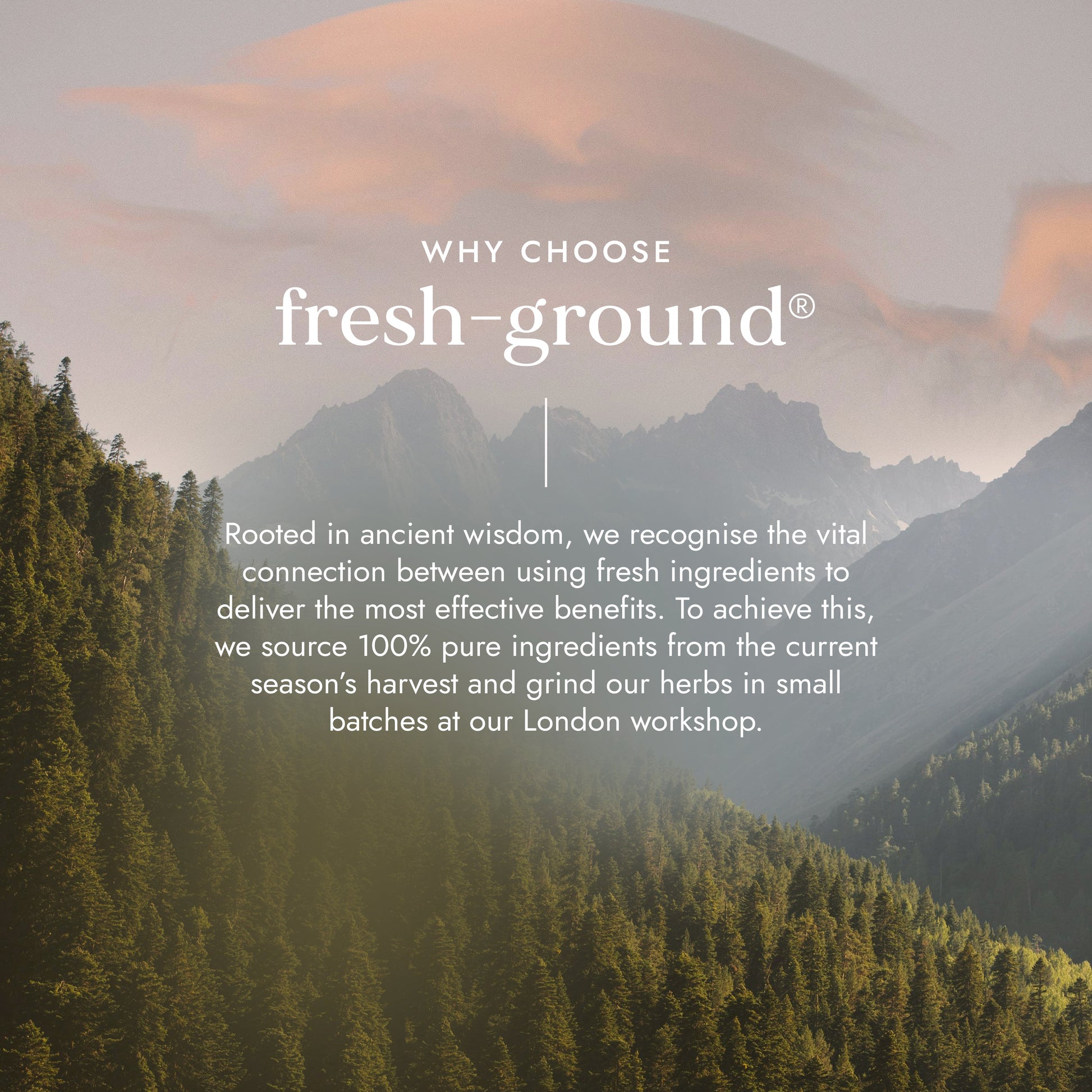 Mountain landscape with text about fresh-ground brand and its commitment to using fresh ingredients.