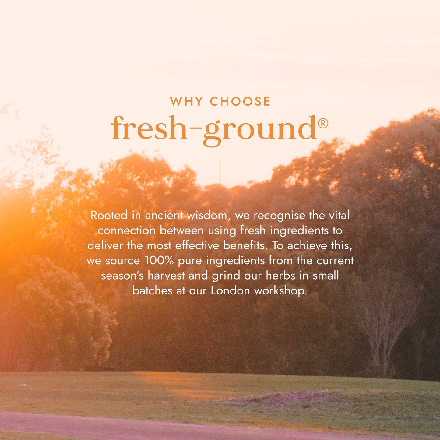Scenic landscape with trees and grass, overlaid with promotional text for 'fresh-ground'.