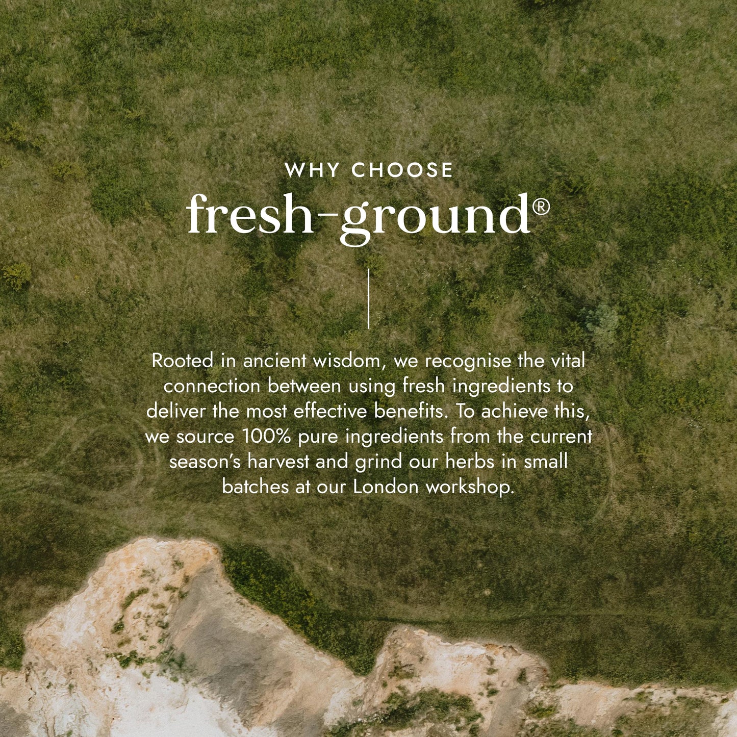 Text about 'fresh-ground' brand on a natural background with herbs.