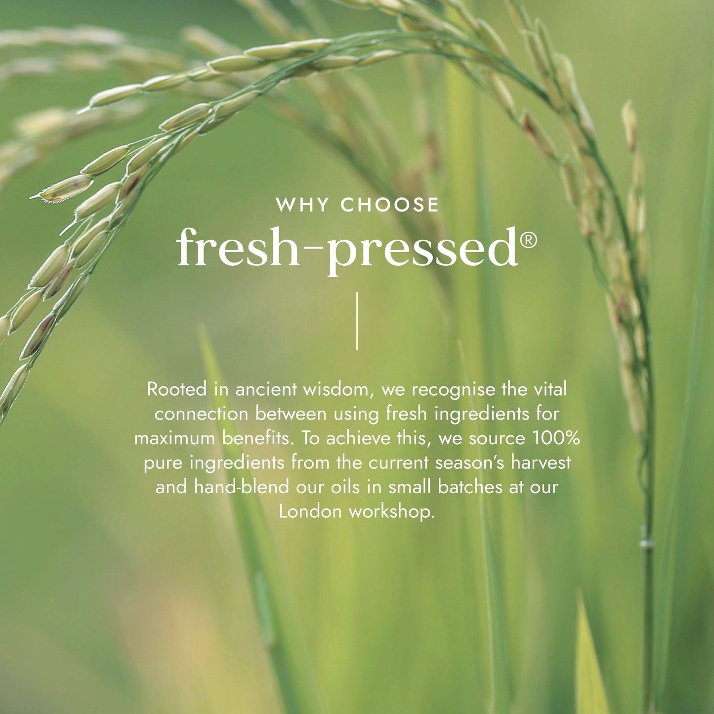 Fushi Biovedic Radiance Face Cream 50ml