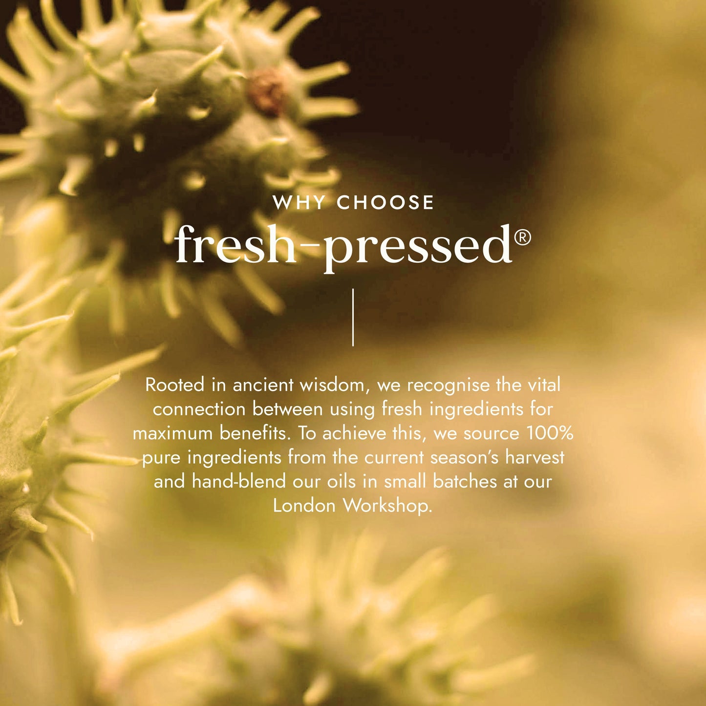 Fushi Organic Castor Oil 30ml