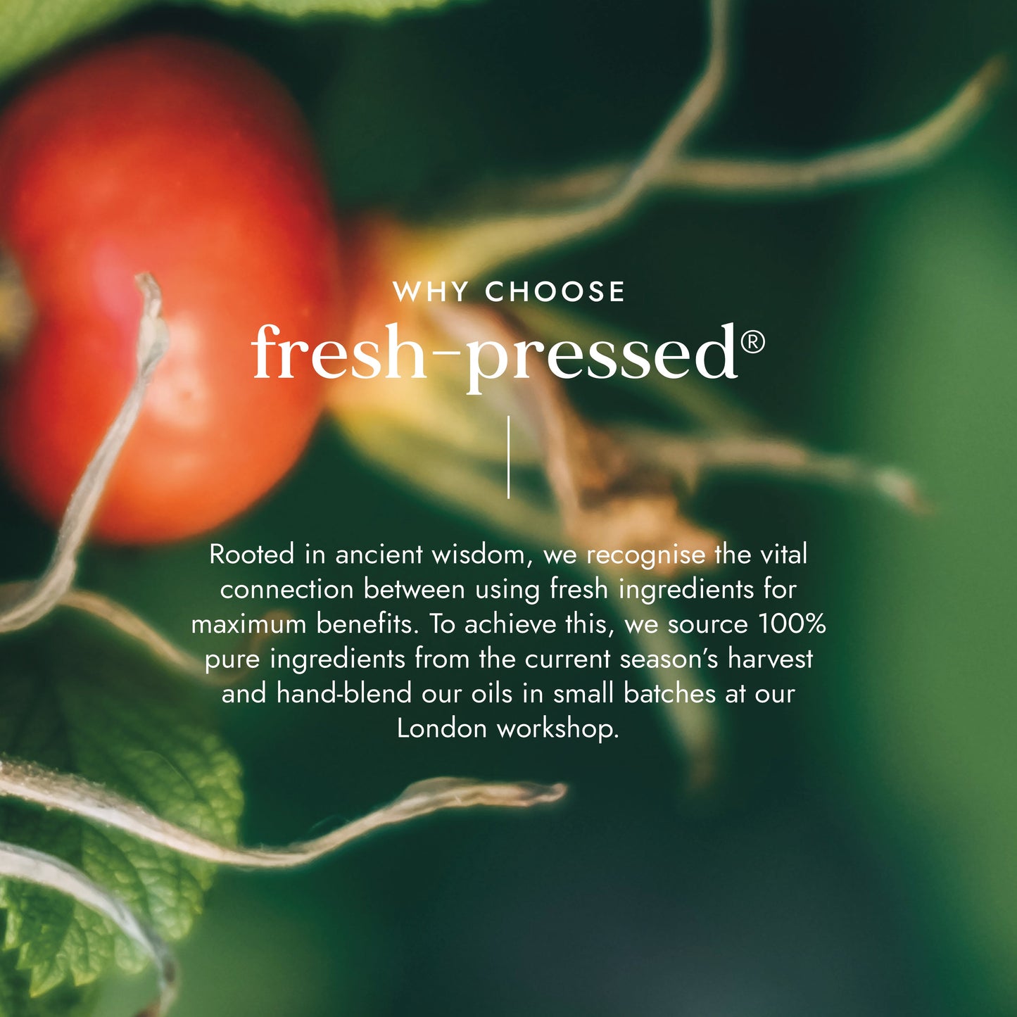Fushi Organic Rosehip Oil 30ml