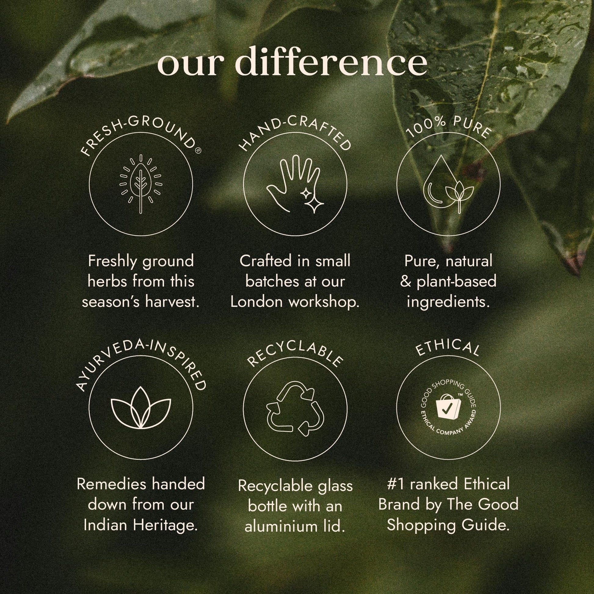 Green leafy background with text and icons about product features.