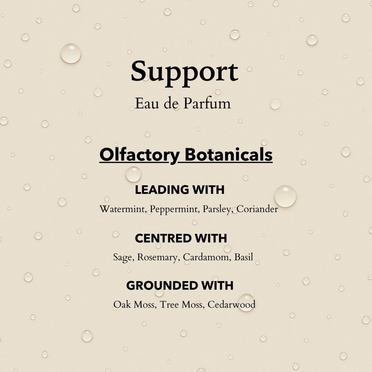 anatomē Support Functional Parfum 10ml