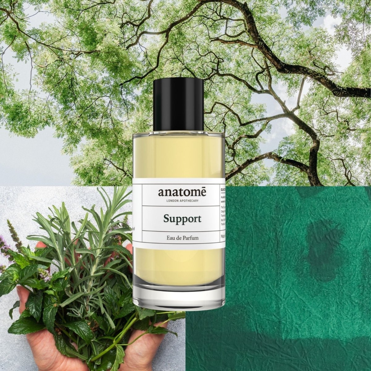 anatomē Support Functional Parfum 10ml