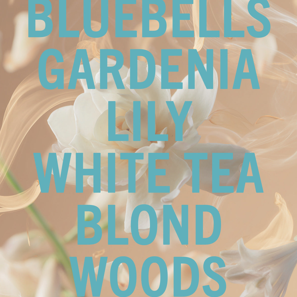 Shay & Blue Tallulah's Camellia Natural Spray Fragrance 100ml