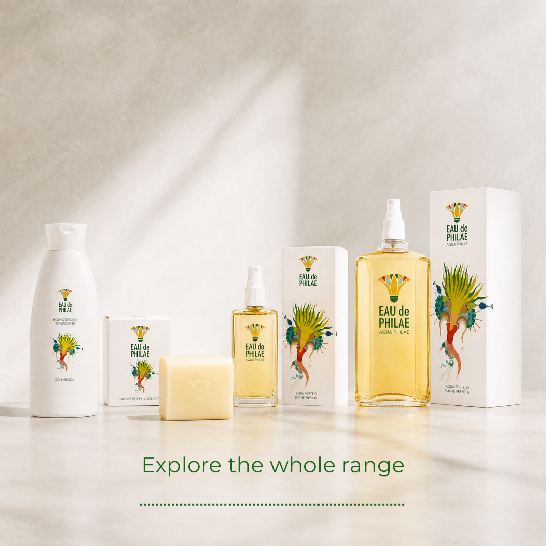 A collection of Eau de Philae bath and body products arranged on a light marble surface against a textured beige wall. The products include a white shampoo bottle, a white soap bar, a small clear spray bottle with amber liquid, a larger rectangular amber bottle with a white spray top, and white boxes, all featuring a colourful green and orange tropical leaf logo.