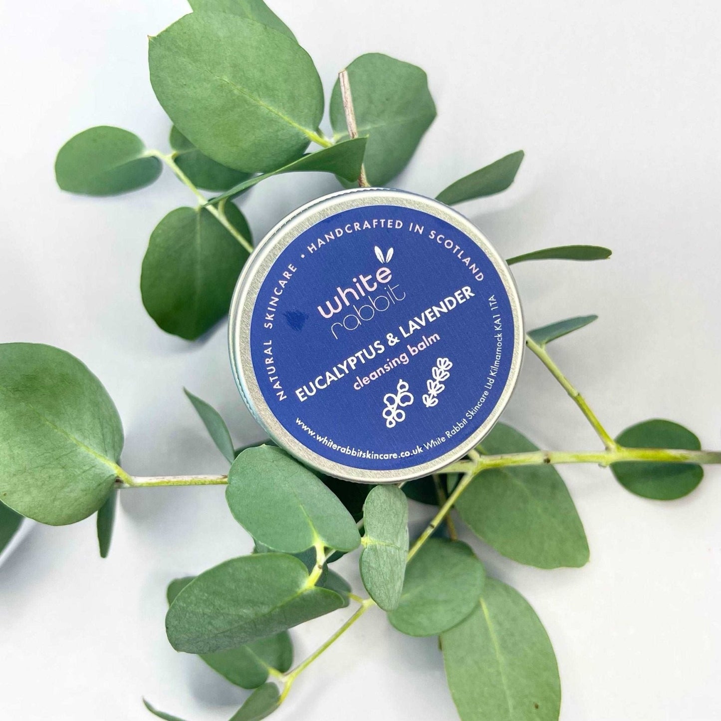 White Rabbit eucalyptus and lavender cleansing balm tin surrounded by green leaves on a white background