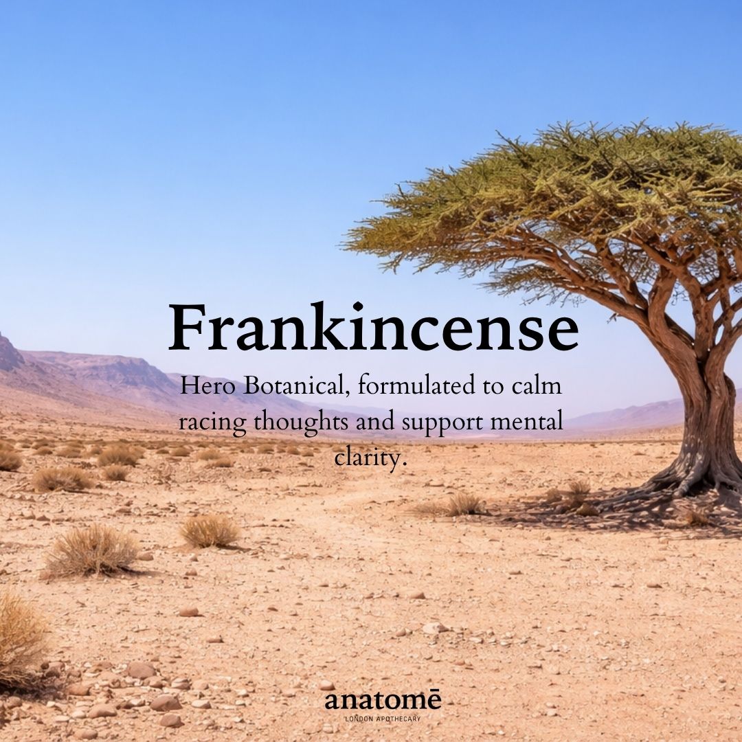 anatomē Somali Frankincense Sleep Oil | Overactive Mind 30ml
